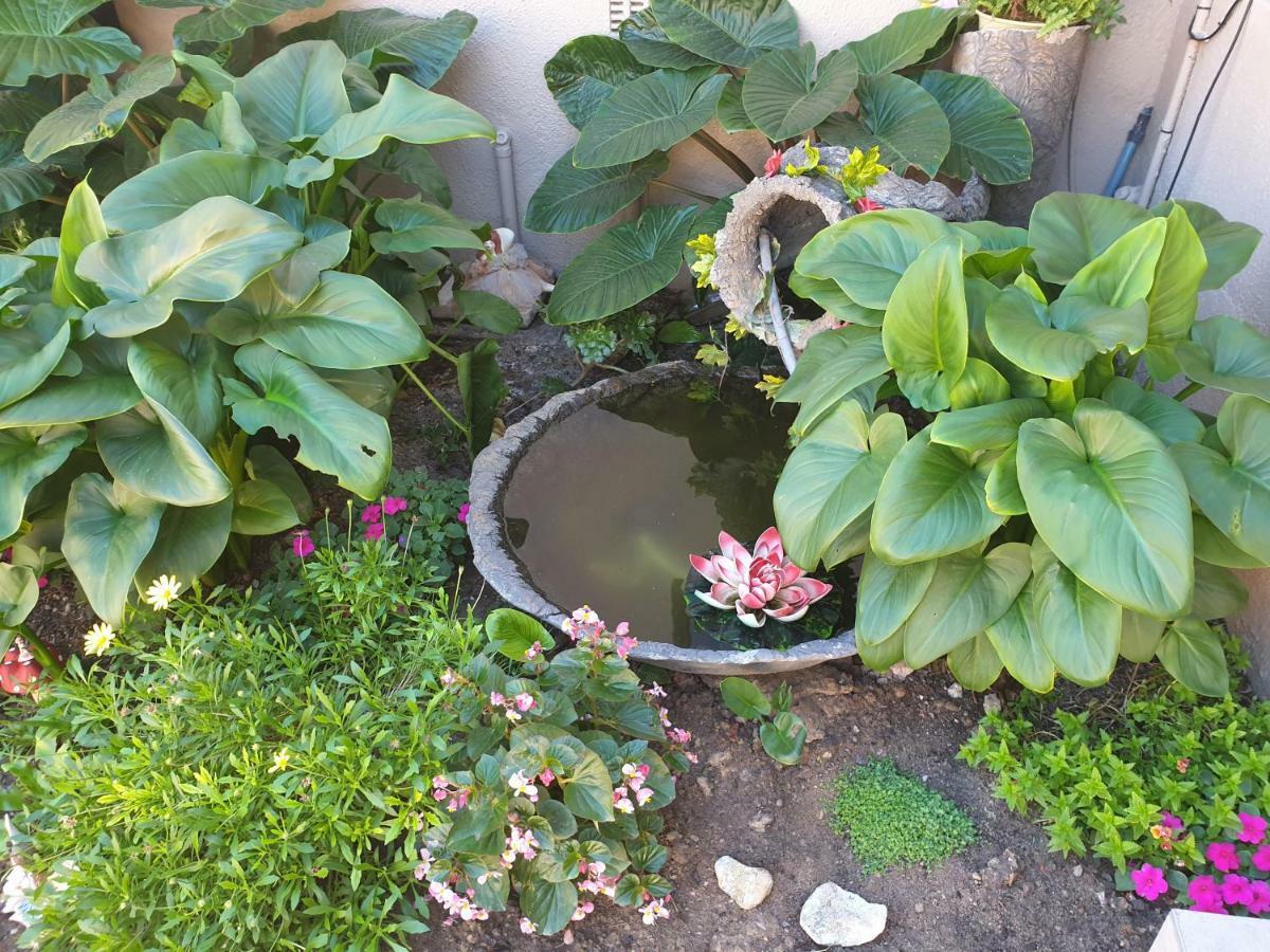 Dilisca Guesthouse Durbanville Eksteriør billede
