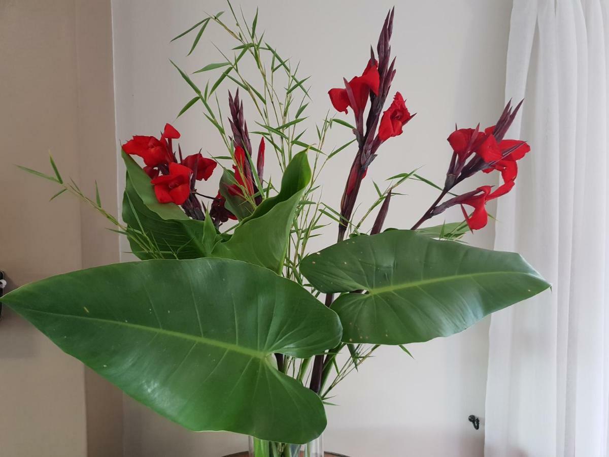 Dilisca Guesthouse Durbanville Eksteriør billede